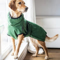 FleeceFlow - Accappatoio Assorbente per Cani - Verde