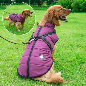 PupSkiPro - Waterdicht Jacket Harnas - - Pet Jacket - Pantino