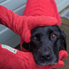 Droogwanten | De super absorberende droog wanten voor je hond! - - - Pantino