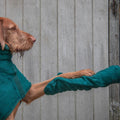 Guanti Asciuganti Super Assorbenti per il Tuo Cane - Rosso