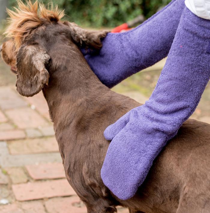 Droogwanten | De super absorberende droog wanten voor je hond! - - - Pantino